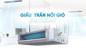giau tran 1